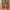 Starter Trackpants Parachute photo 7