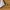 Dazy Cargopants parachute wide photo 4