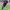 Jersey Juventus Away 2018/2019 photo 3