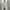 Zara Red Temptation Vanille Extrait De Parfum 50 Ml