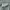 Rotcho BDU M-65 Military Cargo Short Pants photo 7