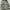 Rotcho BDU M-65 Military Cargo Short Pants photo 3