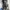 Black Selvedge Wide Leg Ragular Straight Jeans (Size 31)