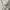 UNIQLO T-Shirt Sweater Sweter Crewneck Atasan Waffle  photo 5