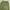 baggy pants dark green  photo 7