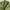 baggy pants dark green  photo 8