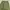 baggy pants dark green  photo 6