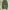 baggy pants dark green  photo 5