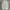 baggy pants baggy fit by musinsa standar photo 4