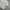 baggy pants baggy fit by musinsa standar photo 8