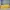 Prada Casual Handbag Wanita yellow photo 2