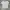 Pomelo - White T-shirt With Black List