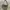 Vintage Mao ZeDong Messenger Military Bag  photo 1
