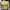 Pull & bear - mustard yellow crop ribbed top photo 1