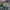 Duma Talina Dress Green Multi photo 1
