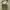 Vintage WW2 3in1 US Military Bag photo 1