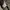Vintage WW2 3in1 US Military Bag photo 7