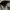 Vintage WW2 3in1 US Military Bag photo 6