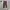 [ UNIQLO BAGGY CORDUROY , CasualPants,BaggyPants