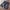 Baggy Jorts photo 2