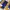 Wilson Vintage Y2K Windbreaker Pria navy yellow photo 4