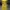 Dress bodycon yellow photo 2