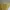 Dress bodycon yellow photo 4