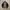 Lafuma softshell outdoor jacket photo 5