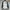 Varsity Jacket Inhabitant