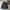 Jacket Halfzip Coleman Outdoor photo 2