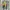 Vintage 90s Kaos Bart Simpson Tshirt photo 4