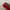 Cein Microbei Red  photo 7
