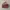 Cein Microbei Red  photo 1