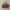 Cein Microbei Red 