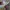 Japanese Brand Concave Attempt size M photo 6