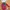 Baju anak 2 pcs photo 1