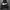 Nikebigswoosh photo 2
