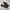 Vans Authentic Classic Full Black Triple Black Original photo 1