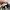 Vans Authentic Classic Full Black Triple Black Original photo 7