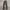 MOTEL ROCKS HIGHWAIST BROWN RIPPLE FLARED TROUSERS