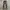 MOTEL ROCKS HIGHWAIST BROWN RIPPLE FLARED TROUSERS photo 4