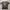 Printstar Ellegarden x Skullshit T-shirt Built Up photo 3