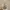 outer photo 3
