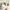 Innocent World Lolita JSK Vintage Oldschool BTSSB AP photo 5