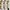 Take all Paket Usaha Bundle Axes Femme Kawaii Vintage Floral photo 1