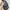 Canvas snow black shoulder bag photo 5