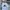 Adidas Sportswear T-shirt Pria white photo 5