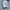 Adidas Sportswear T-shirt Pria white photo 2