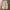 Porta Cargopants parachute type wide photo 6