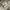 Adidas Casual Casual shoe Pria white photo 5